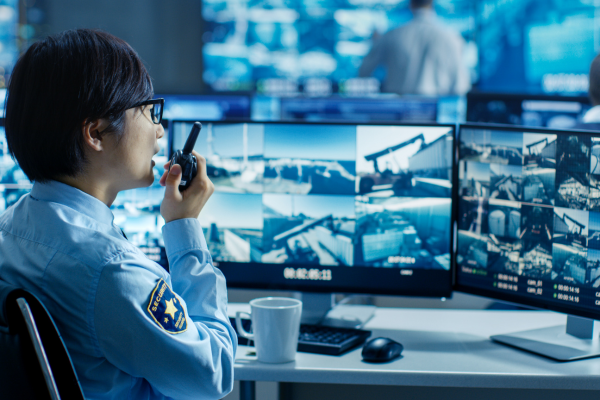 Introduction to Aviation Security