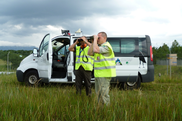 Wildlife Hazard Management